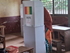 Législatives et communales : les observateurs invitent les parties prenantes à recourir à la loi