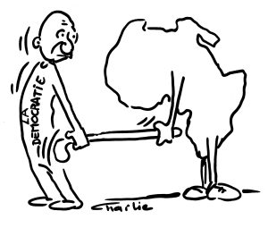 Colère : De la démocratie en Afrique (Par Tierno Monénembo)