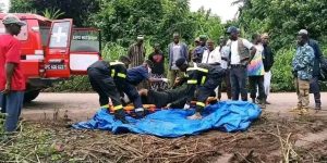 Sangardo (Kissidougou) : Une dizaine de personnes périssent dans un accident de la route