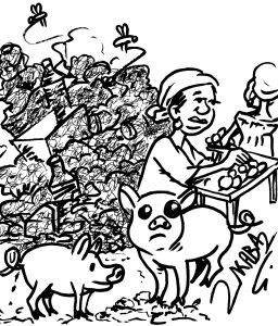 Insalubrité : Tous des « cochons » à Conakry